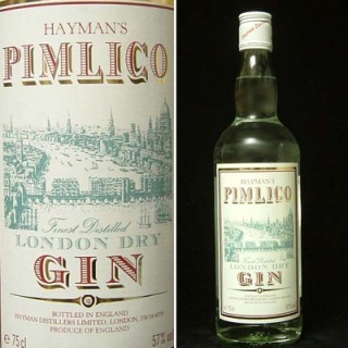 ����ł݂���GIN�S