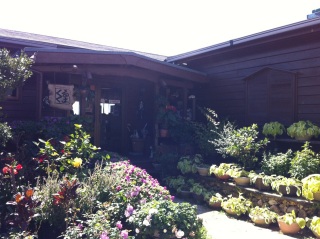 �J�t�F���邭��