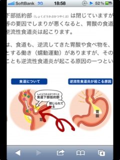 �t�����H����