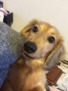 ���炫��I