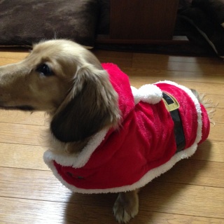 �V�������T���^