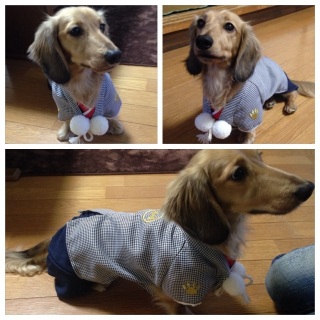�V�����I�c��