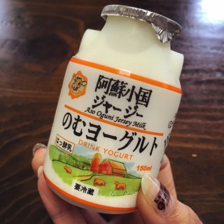 ���̓��[�O���g