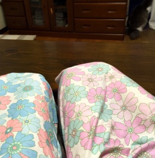 �o���p���[