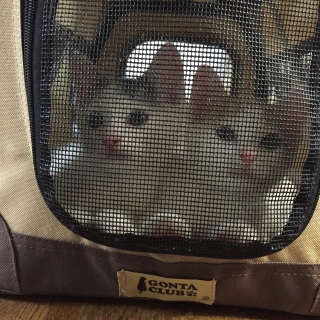 ����䂷����