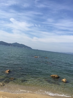 �J���t�H���j�ABBQ