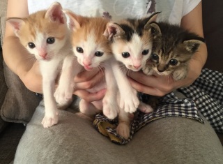 �`�r����񂽂�