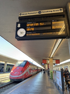 �N�z����